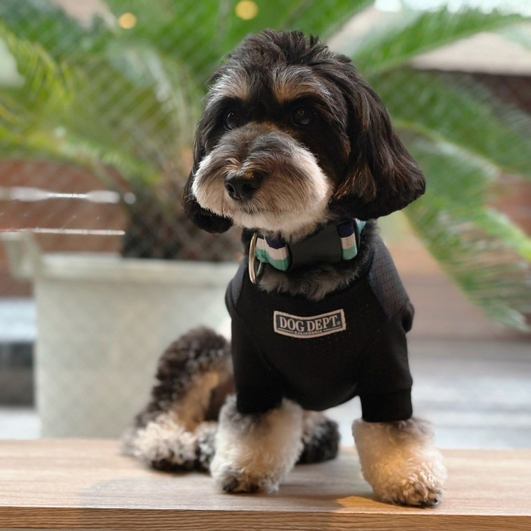 ご希望に応じたプラン