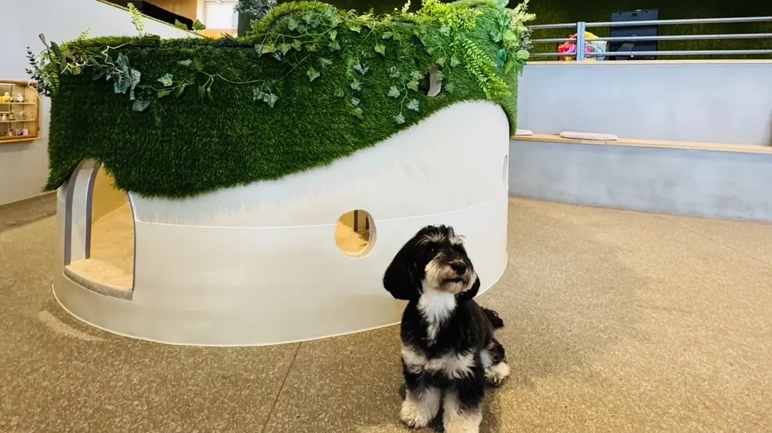 Villageパークの様子1