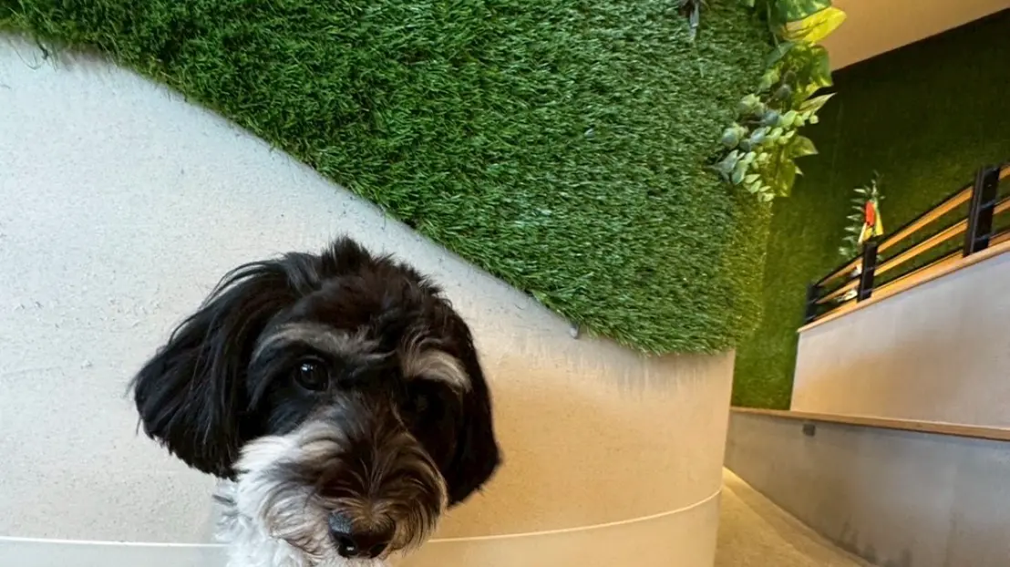 Villageパークの様子2