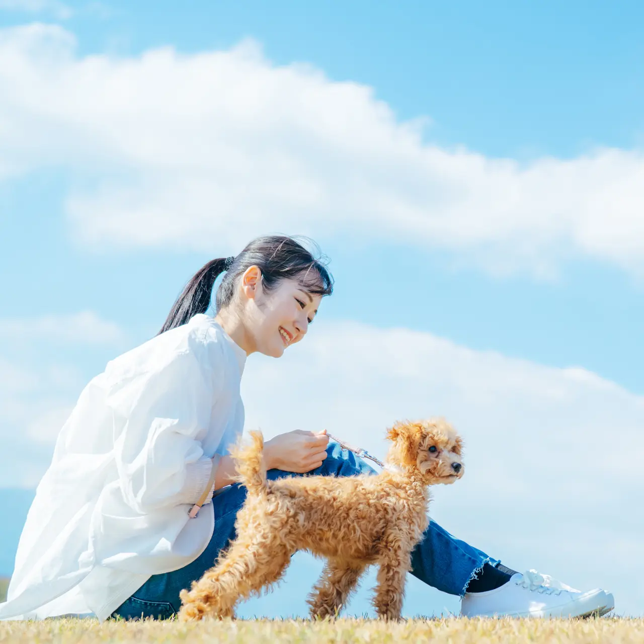 犬と過ごす時間を大切にする飼い主のイメージ