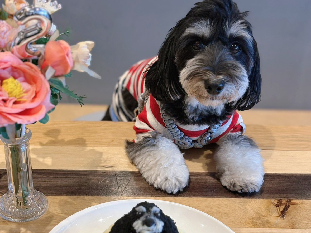 ワンコ愛にあふれた安心のダイニング